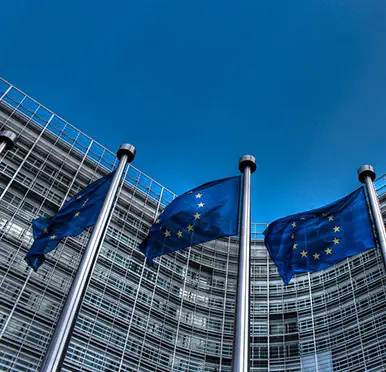 EndoGI-has-received-funding-from-the-European-Union’s